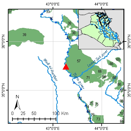 Assur-Assur Diversion
