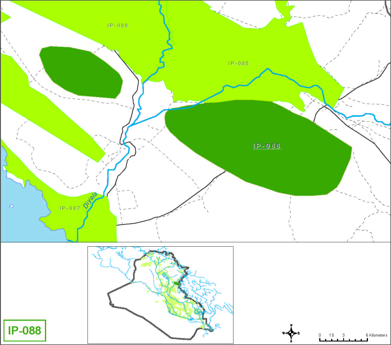 Small farms at  wells in the Diyala muhafadha in the Diyala river basin