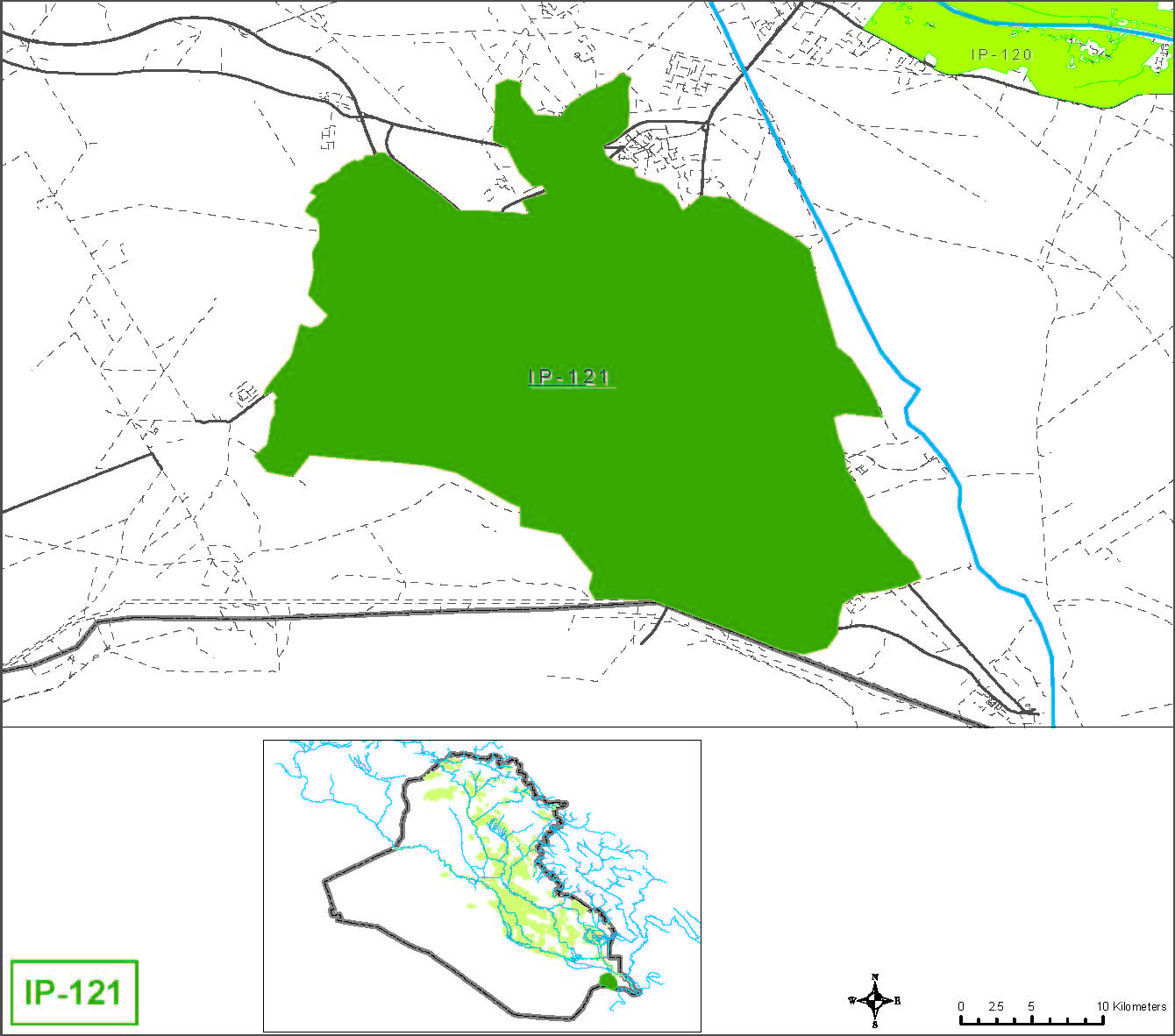 Zubair (Irrigated from Wells)