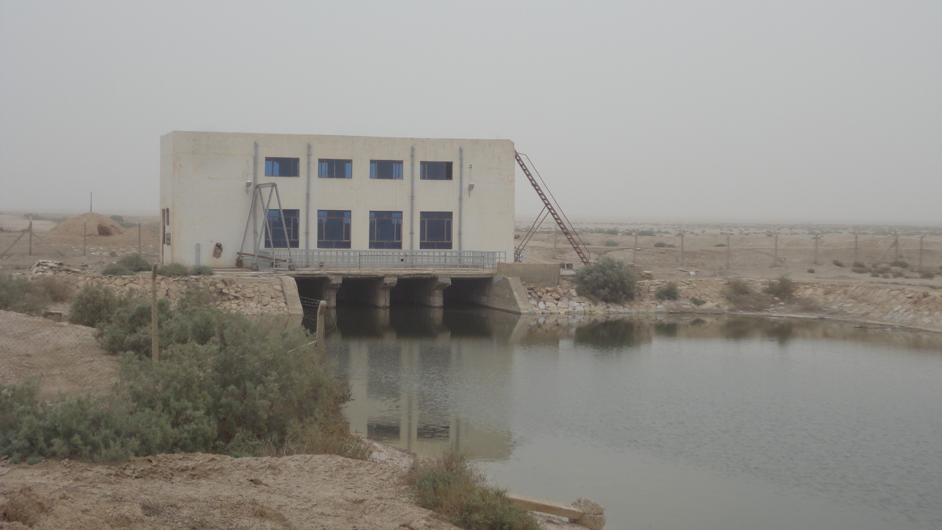 Al-Dawla farm drainage / Al-Dabbouni