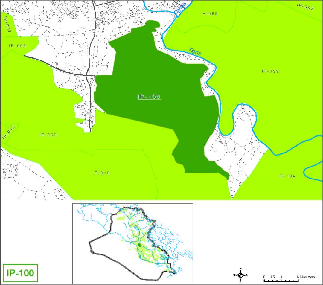 Caca Rijab Hour-Rijab | National Water Strategy of Iraq